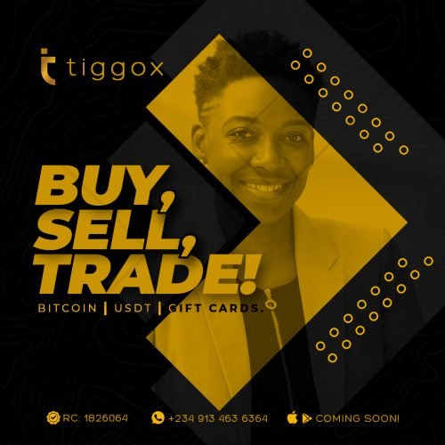 Tiggox-eFlier-2a