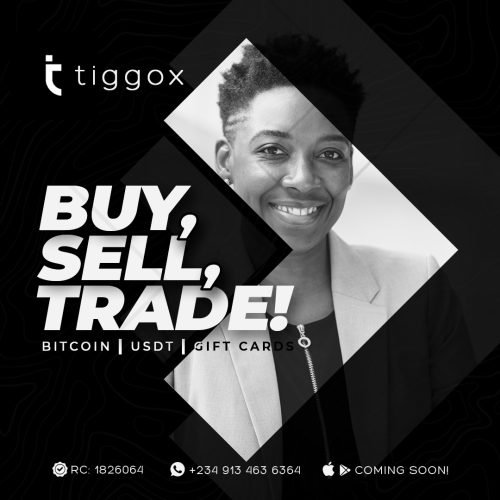 Tiggox-eFlier-3
